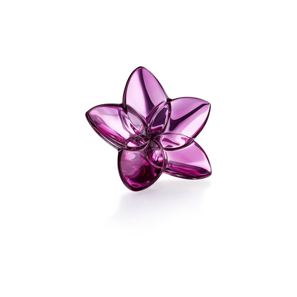 Baccarat Bloom Baccarat - Adler's Jewelry of New Orleans